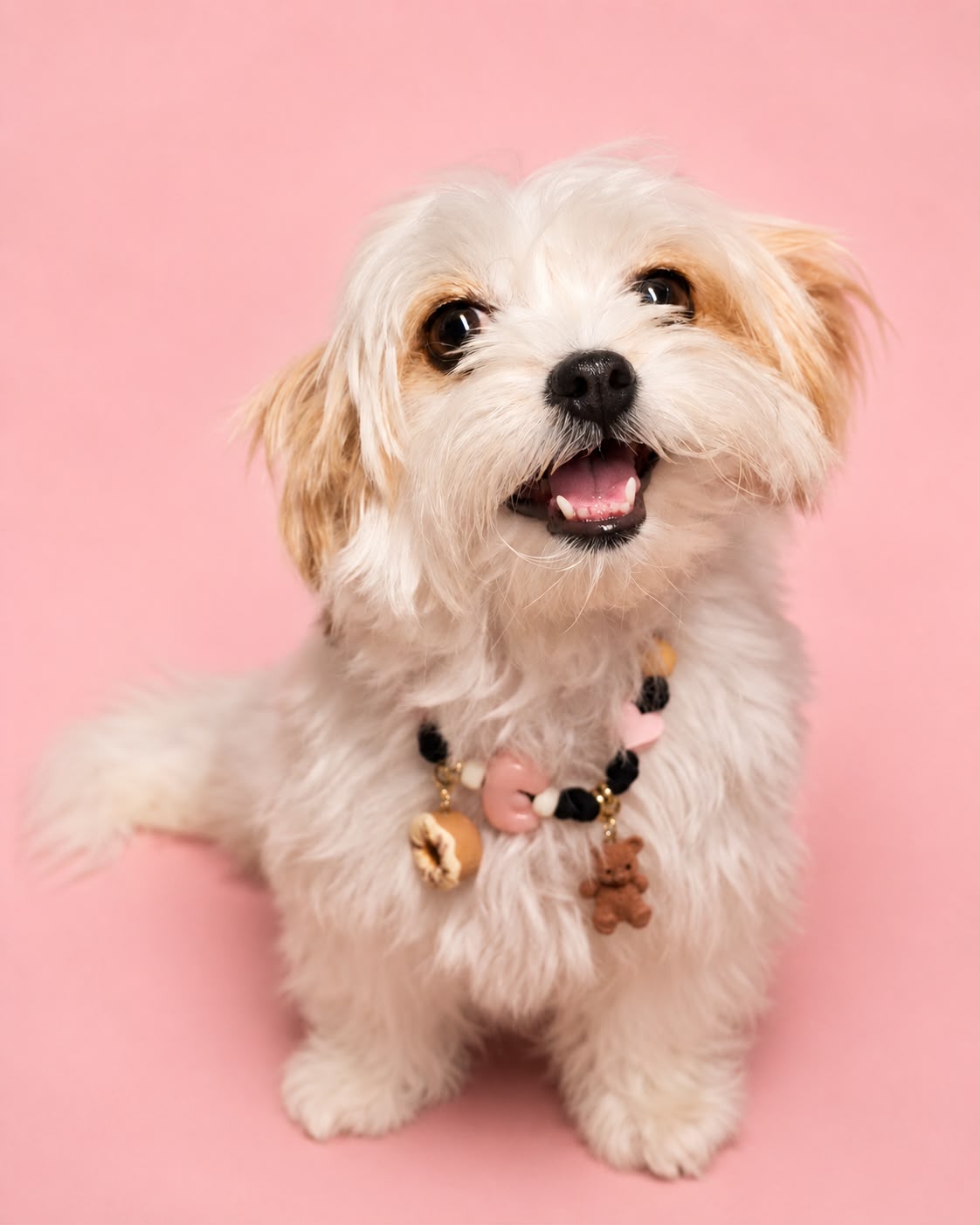 Cane bianco con collanina NODOA, lettere e charm su fondo rosa.
