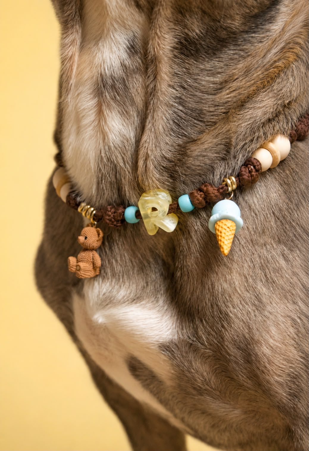 Dettaglio della collanina Essential Charms indossata da un bulldog, con iniziale R, orsetto e gelato.