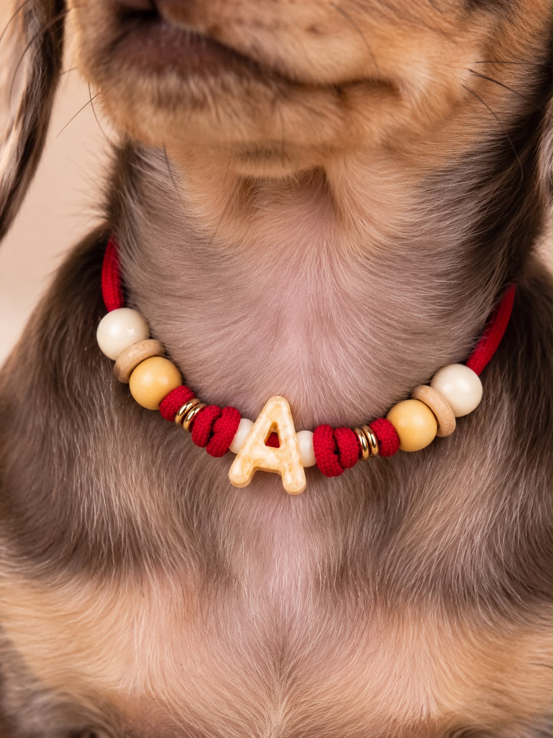 Dettaglio della collanina Essential rossa con iniziale A indossata da un cucciolo.